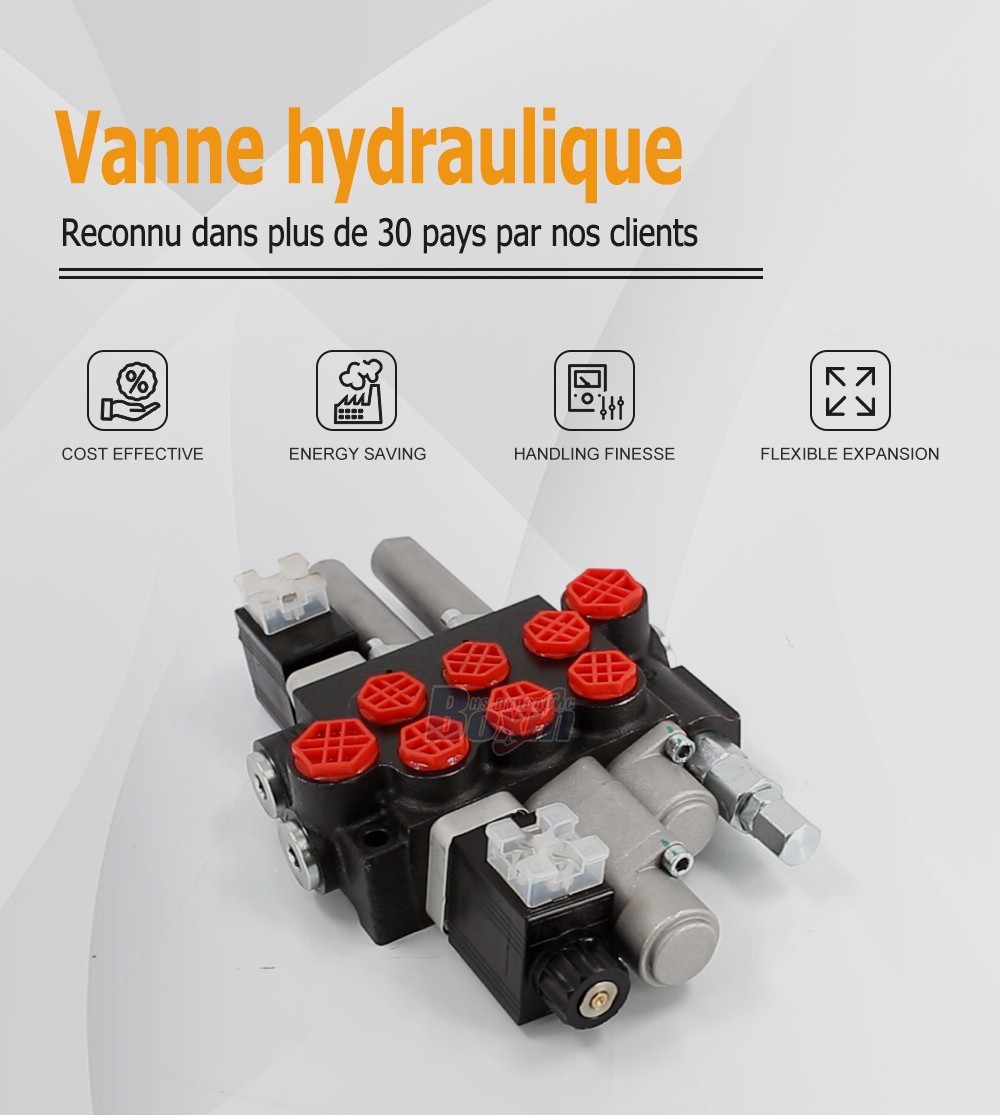 P40-BOT-BQTW1-DCOT Solénoïde et câble 3 tiroirs Vanne directionnelle monobloc